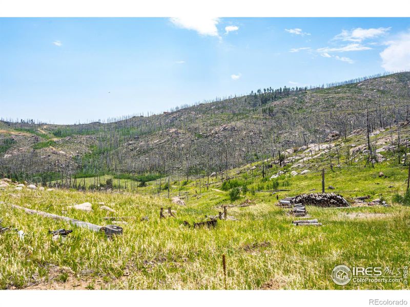 2384 Rist Creek Rd, Bellvue, CO 80512