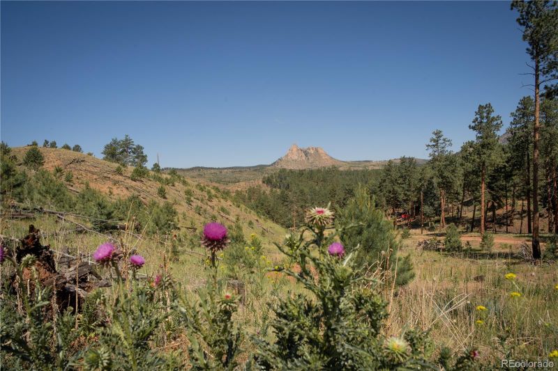 14800 Evergreen Pl, Woodland Park, CO 80863