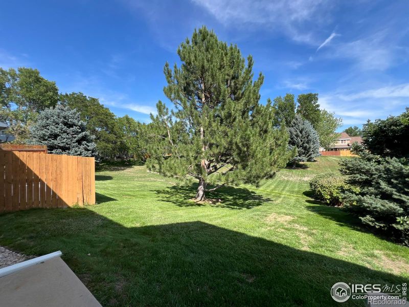 815 2nd St, Windsor, CO 80550