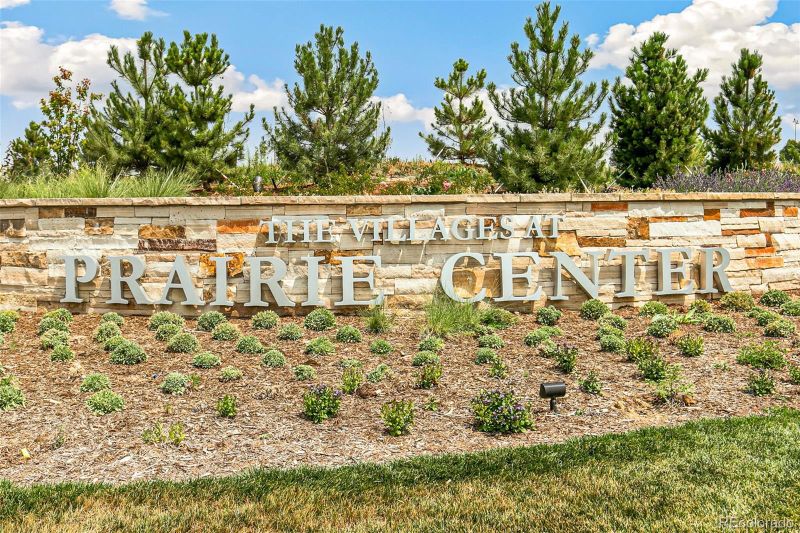 3278 Boral Owl Dr, Brighton, CO 80601