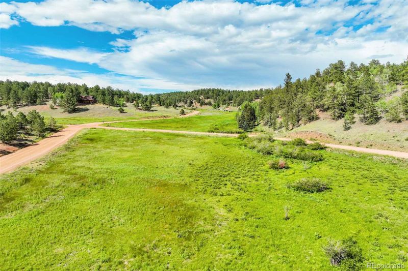921 Kiowa Rd, Florissant, CO 80816