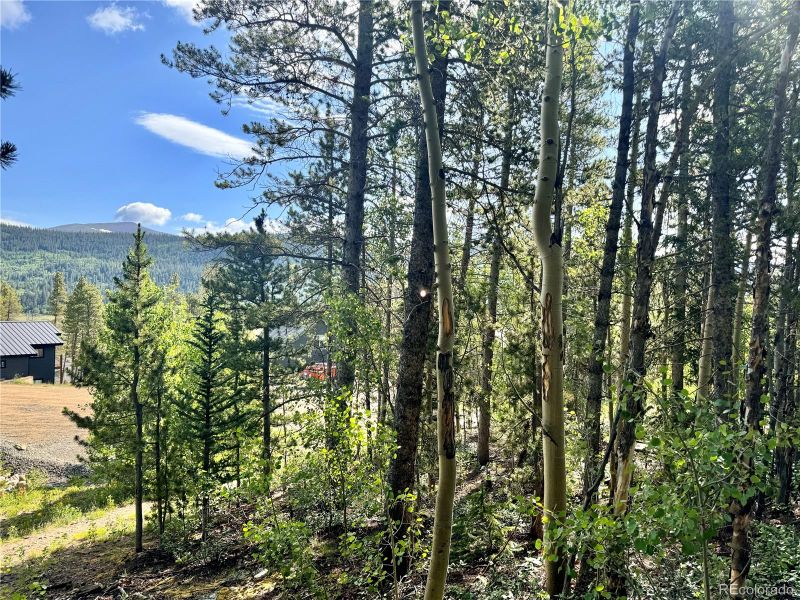 121 N Aspen St Lot 20, Alma, CO 80420