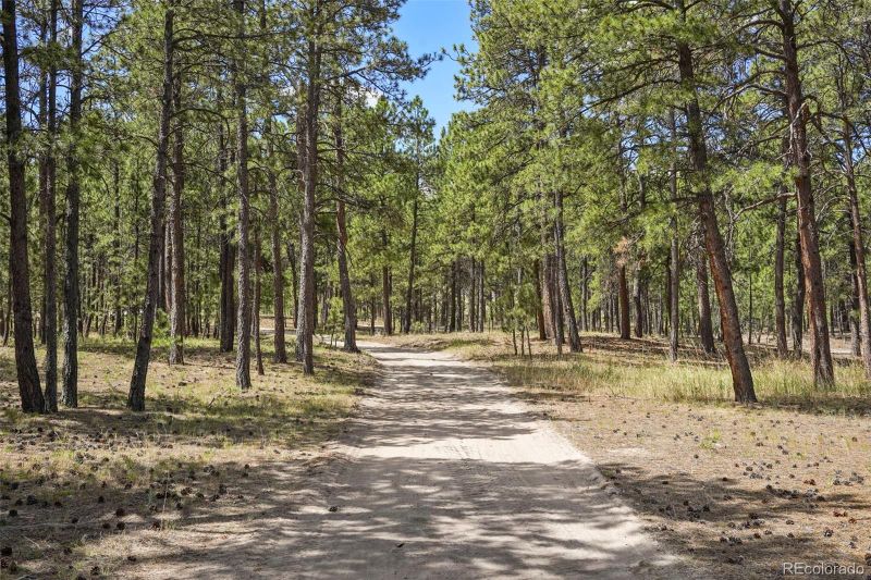 7014 Burgess Rd, Colorado Springs, CO 80908