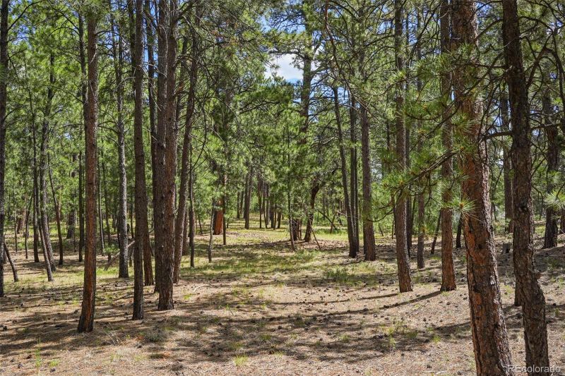 7014 Burgess Rd, Colorado Springs, CO 80908
