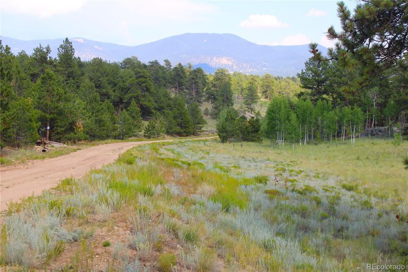 128 Shenandoah Pa Lot 102, Hartsel, CO 80449