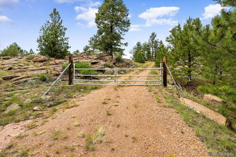 135 Irwin Dr Lot 171, Florissant, CO 80816