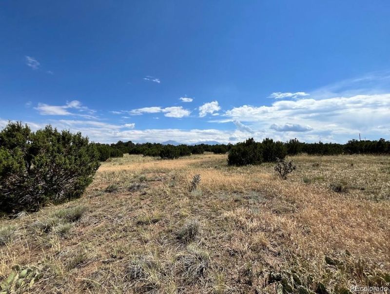 Buffalo Dr N, Walsenburg, CO 81089