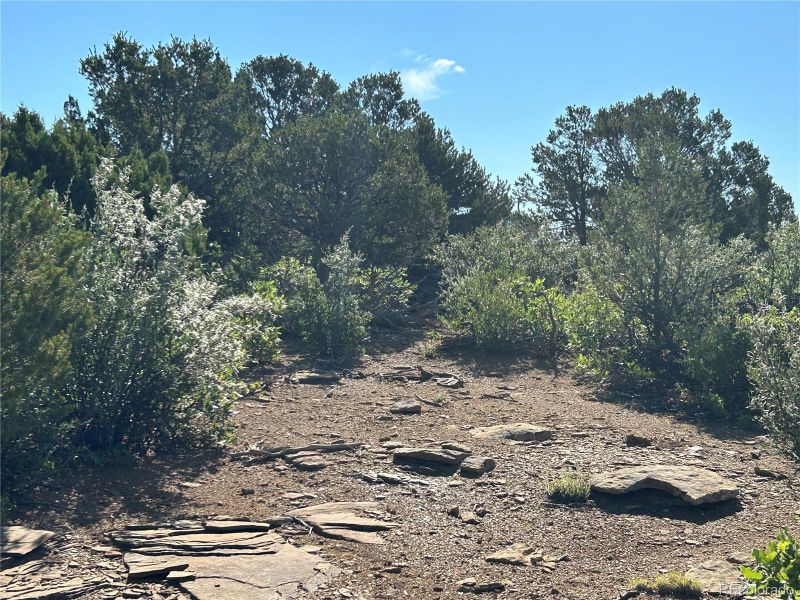 0 Silver Spurs Ranch Lot 17, Walsenburg, CO 81089