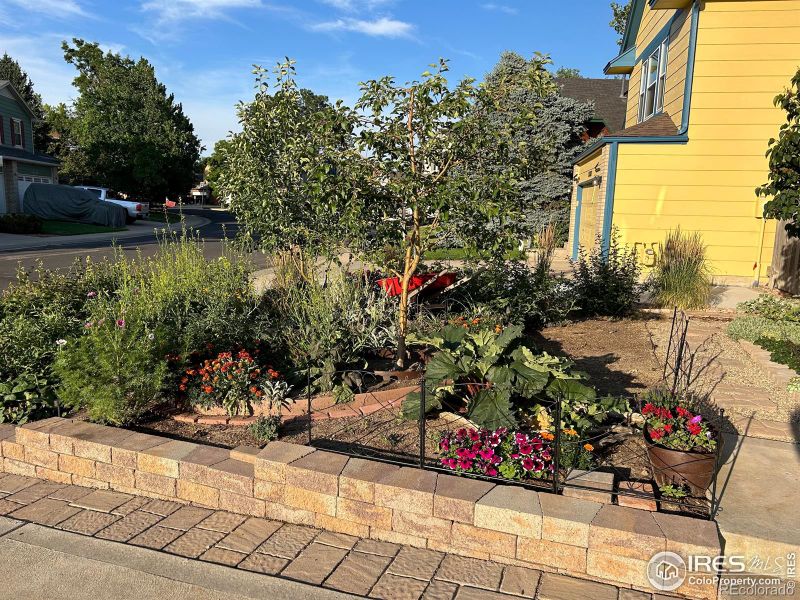 10531 Clermont Way, Thornton, CO 80233