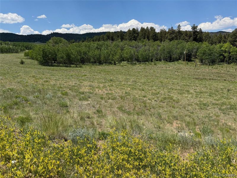 728 Stacker Dr Lot 843, Hartsel, CO 80449