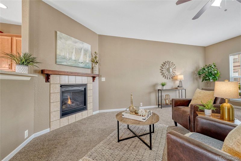 1187 Yellow Dogwood Hts, Monument, CO 80132