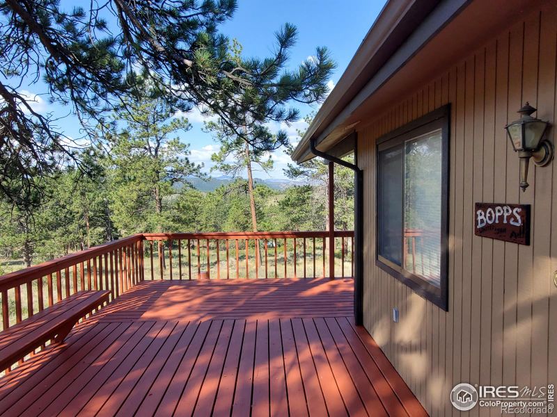 59 Turtle Rock Ct, Livermore, CO 80536