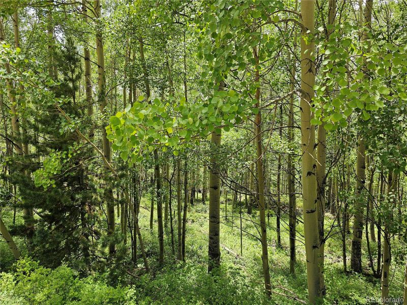 000 Sleger Rd, Fort Garland, CO 81133