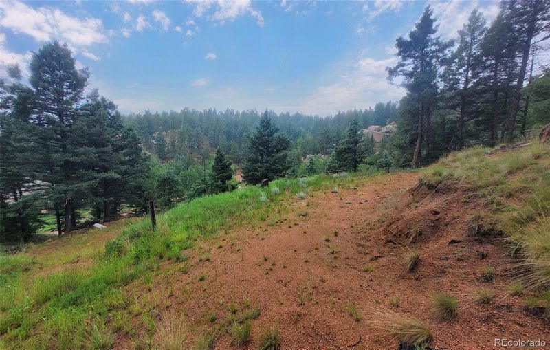 30 Spruce Cir, Florissant, CO 80816