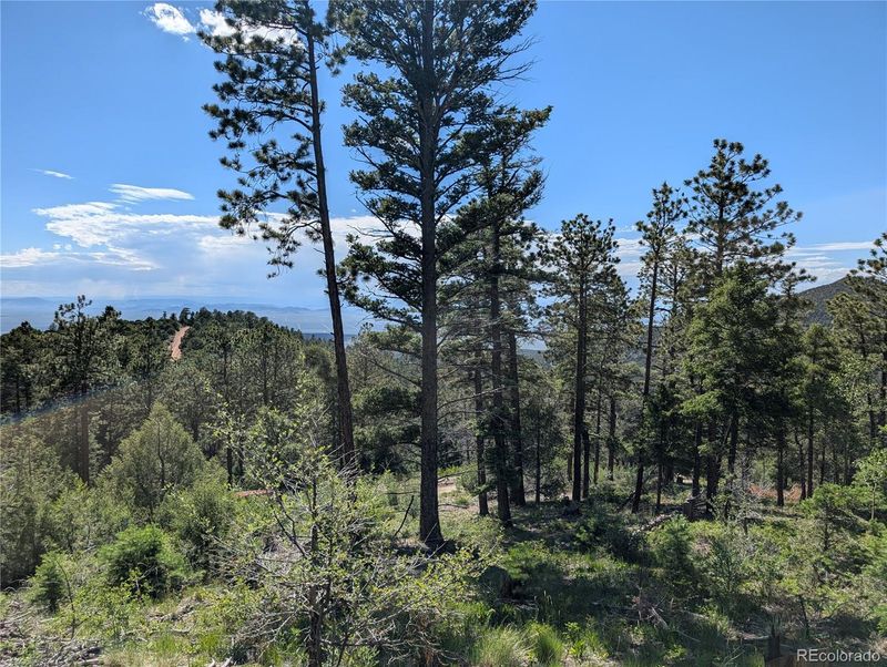 Lot 5698 Balleroy Rd, Fort Garland, CO 81133