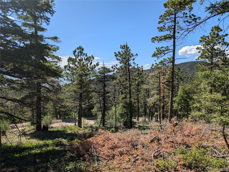 Lot 5697 Balleroy Rd, Fort Garland, CO 81133