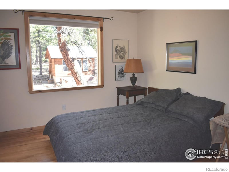 93 Bridger Trl, Ward, CO 80481