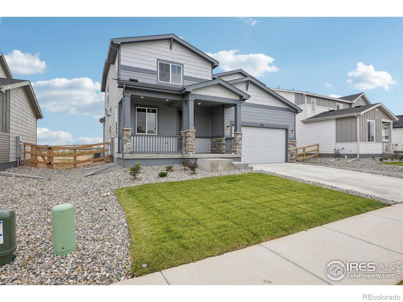 813 Hummocky Way, Windsor, CO 80550