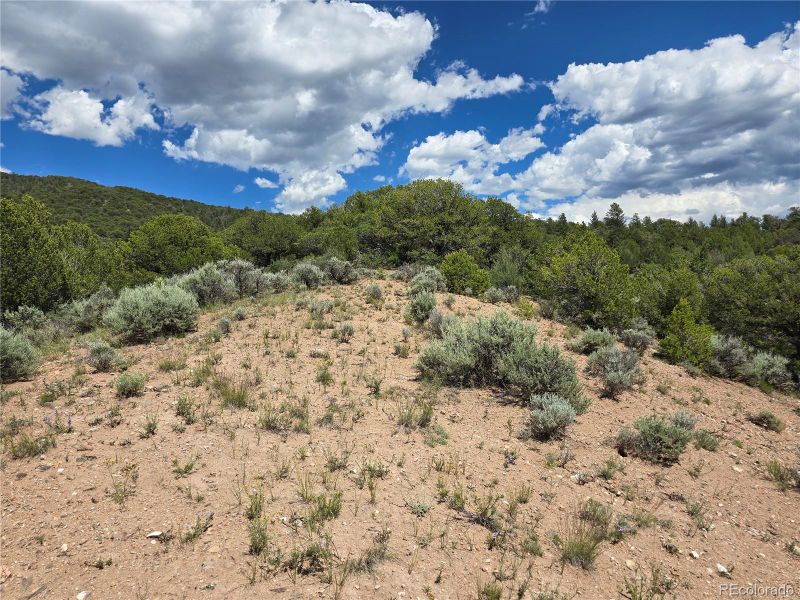 7572 Dashiell Rd, Fort Garland, CO 81133