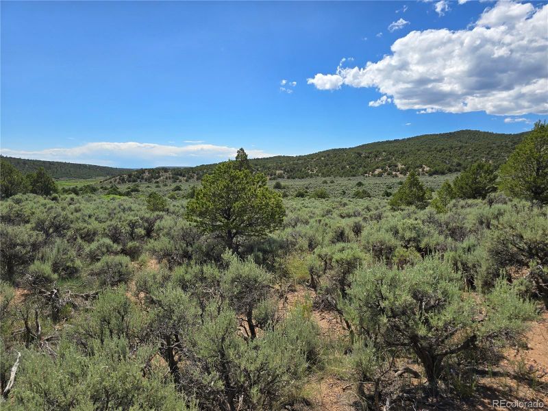 7572 Dashiell Rd, Fort Garland, CO 81133