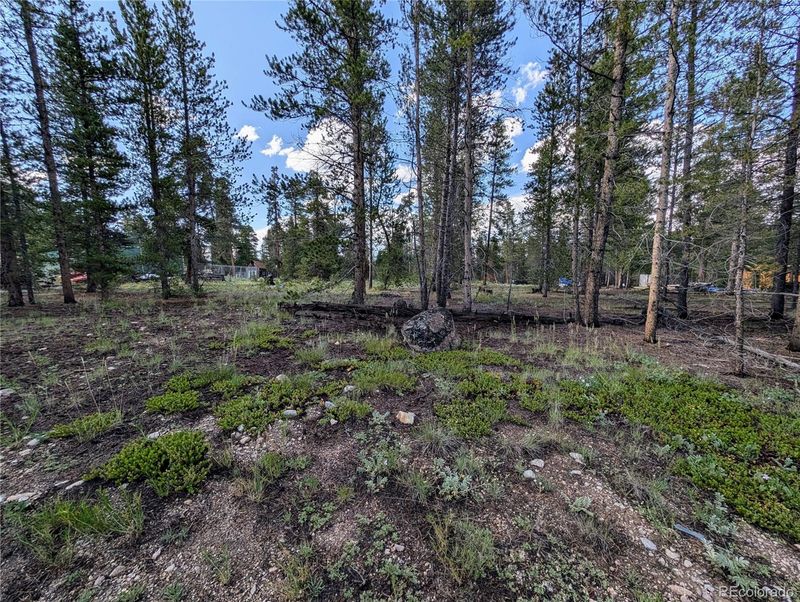 511 Spruce Dr, Twin Lakes, CO 81251