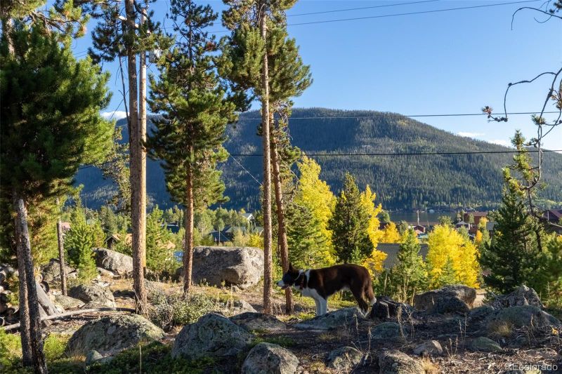 904 W Portal Rd, Grand Lake, CO 80447