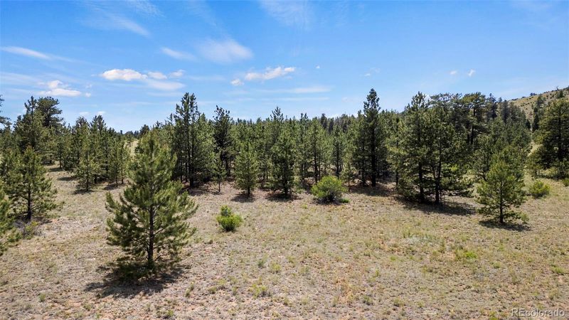 424 Mesa Rd, Hartsel, CO 80449
