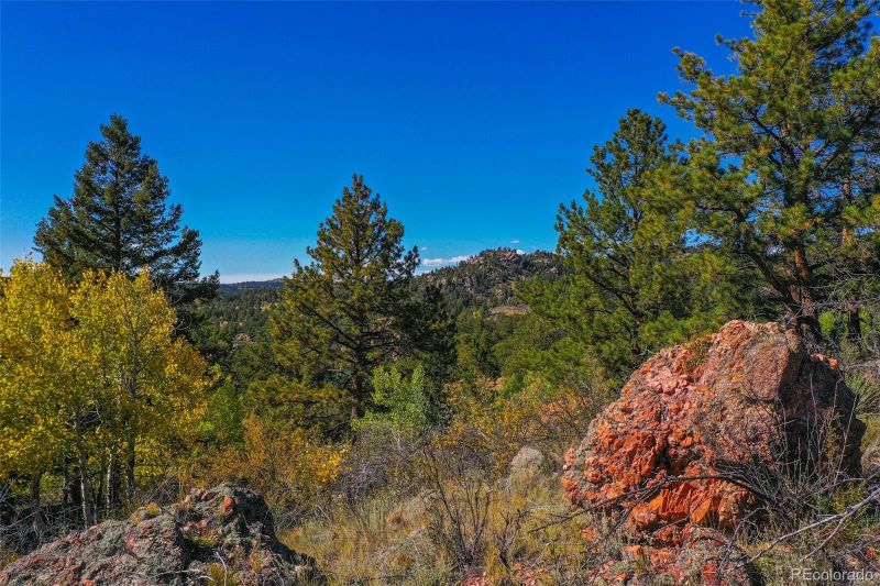 480 Ponderosa Dr, Florissant, CO 80816