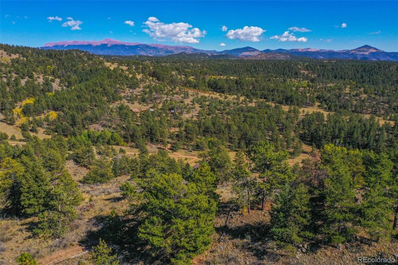 480 Ponderosa Dr, Florissant, CO 80816
