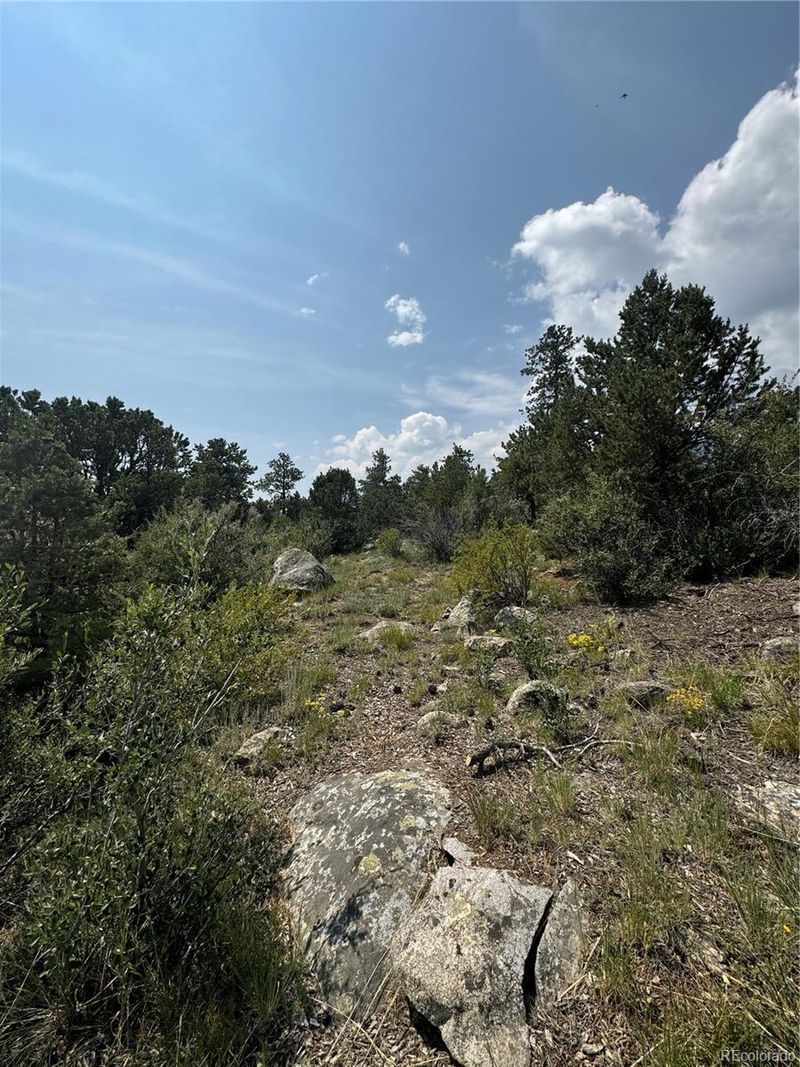 Trails End Lot 20, Buena Vista, CO 81211