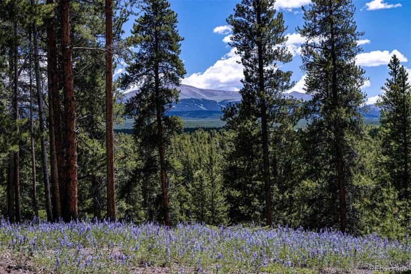 14 Elk Trl, Leadville, CO 80461