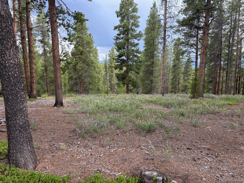 14 Elk Trl, Leadville, CO 80461