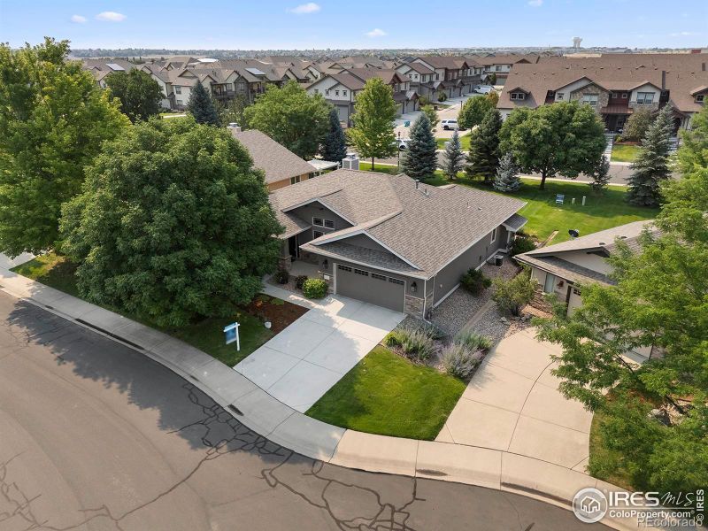 6427 Half Moon Bay Dr, Windsor, CO 80550