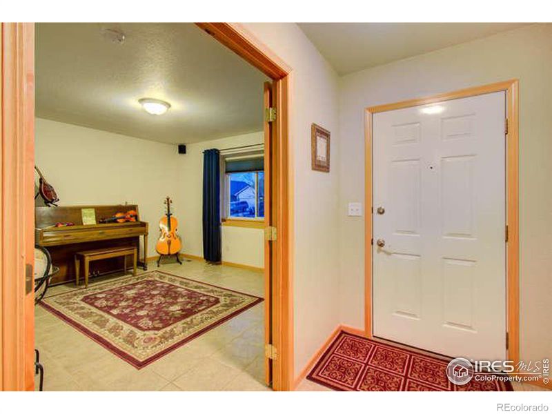 841 Durum St, Windsor, CO 80550