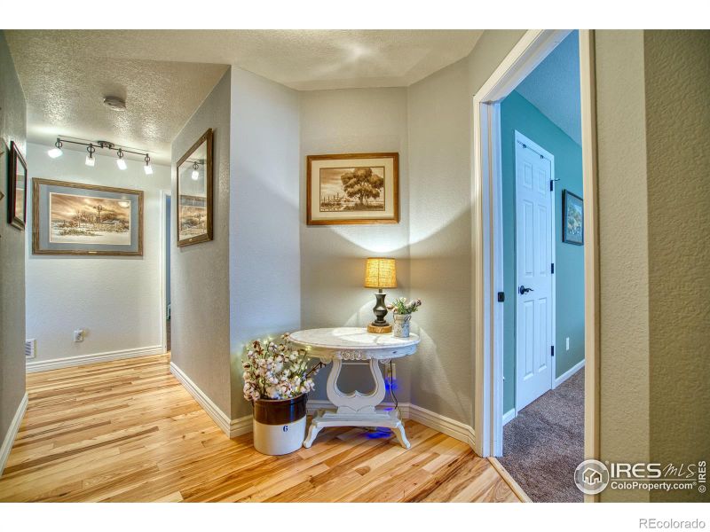 7073 Mount Nimbus St, Wellington, CO 80549