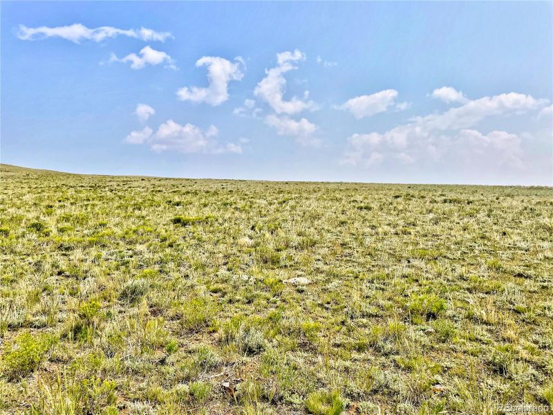 000 Utse Trl, Hartsel, CO 80449