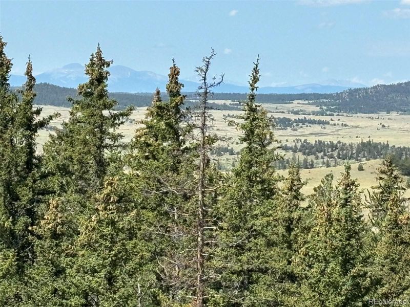 365 Bonus Gulch Way, Jefferson, CO 80456