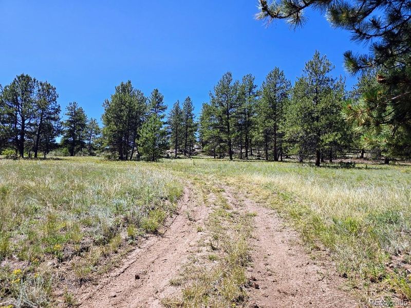 35650 Us Highway 24, Lake George, CO 80827