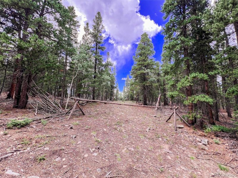 00 South Spring Gulch Rd, Idaho Springs, CO 80452