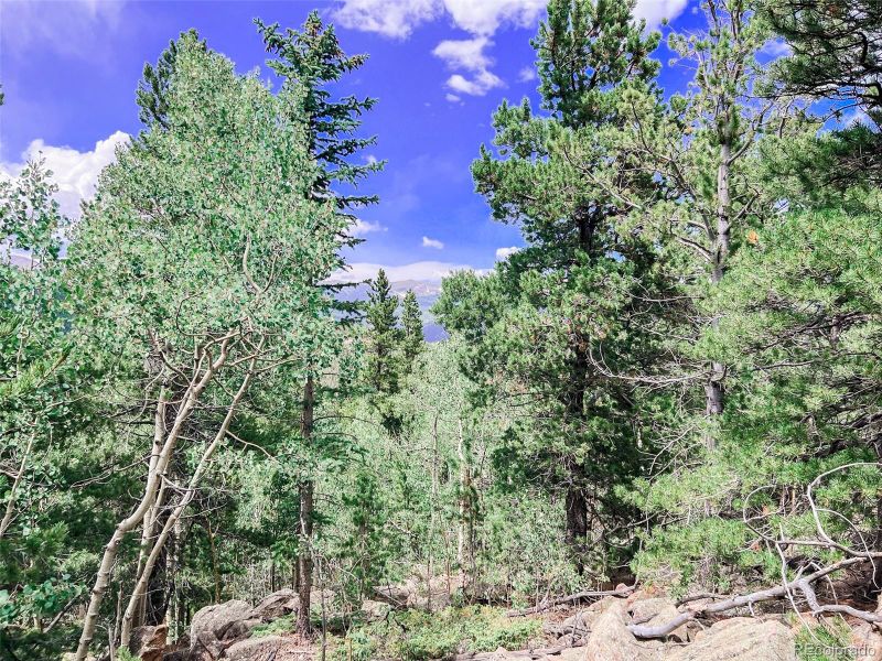 00 South Spring Gulch Rd, Idaho Springs, CO 80452