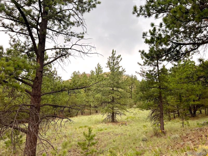 47 Bittersweet Ln, Westcliffe, CO 81252