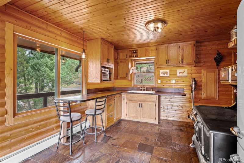 8351 London Ln, Conifer, CO 80433