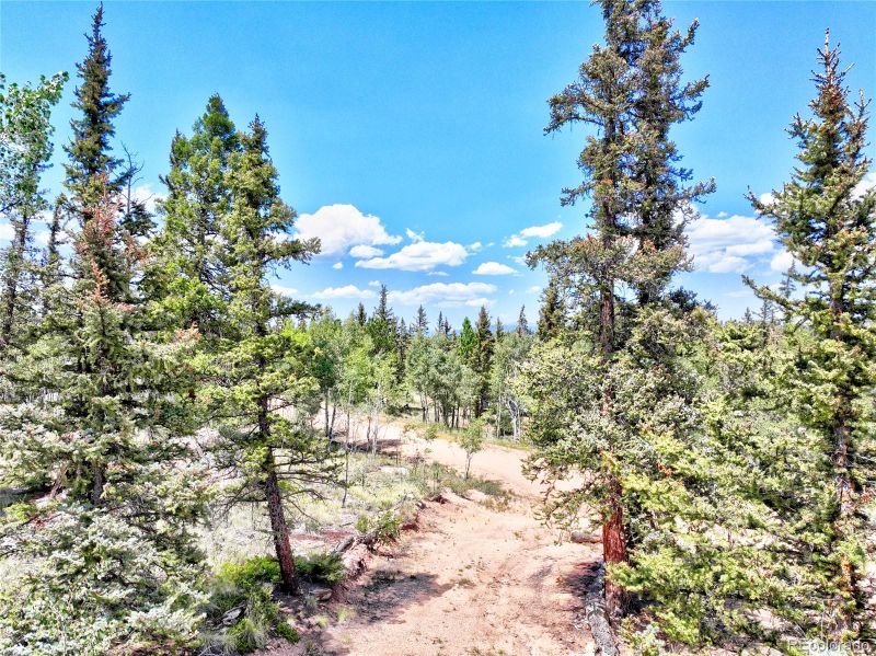 115 Haida Way, Como, CO 80432