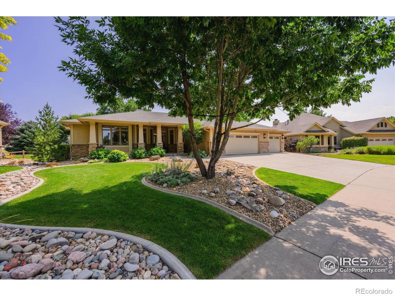 1925 Bison Ridge Dr, Windsor, CO 80550