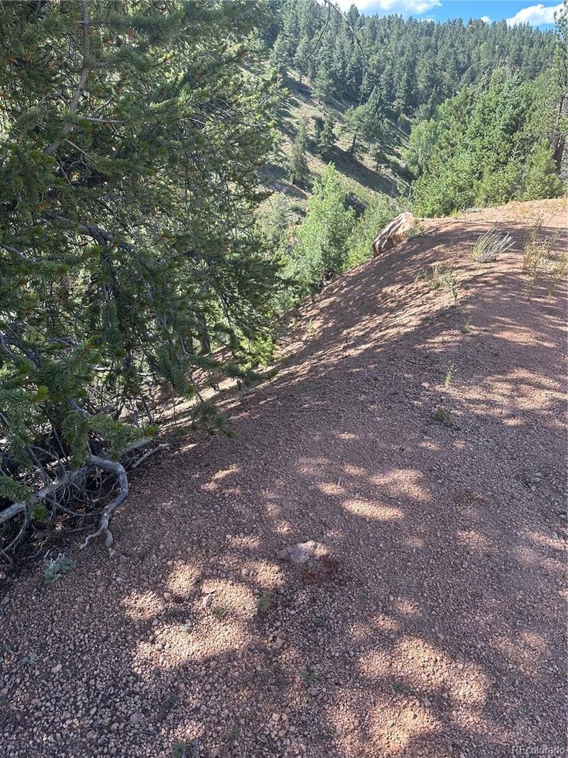 642 Oilcreek, Divide, CO 80814