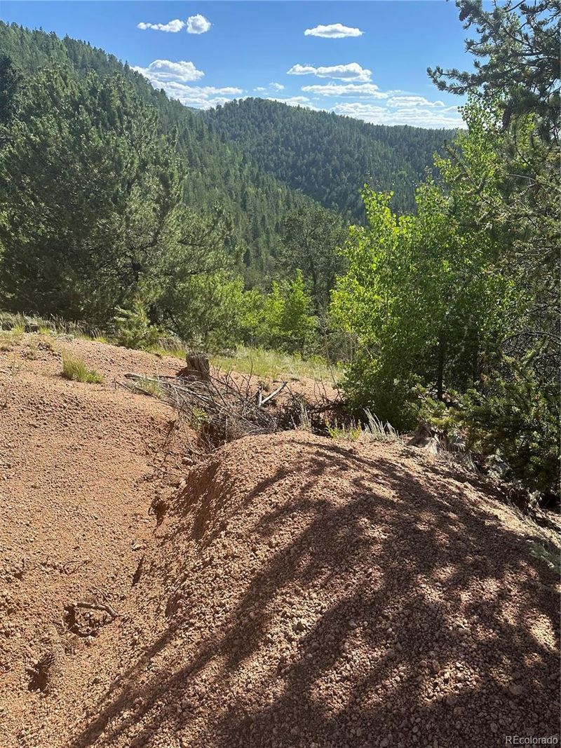 642 Oilcreek, Divide, CO 80814