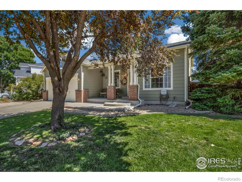704 Nelson Park Ln, Longmont, CO 80503