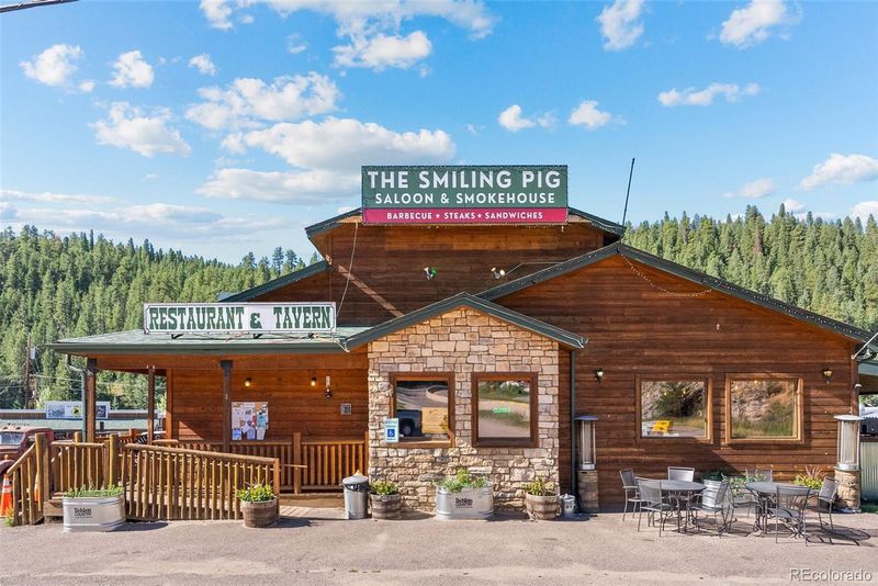 1 County Road 68, Bailey, CO 80421