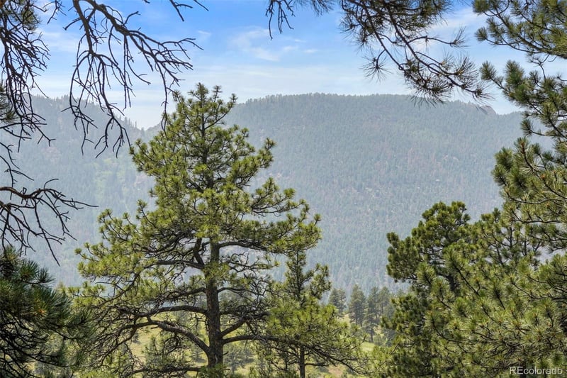 7166 Skyline Cir, Green Mountain Falls, CO 80819