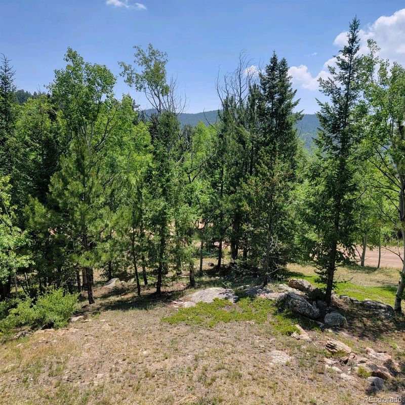 109 Kiowa Trl, Lake George, CO 80827